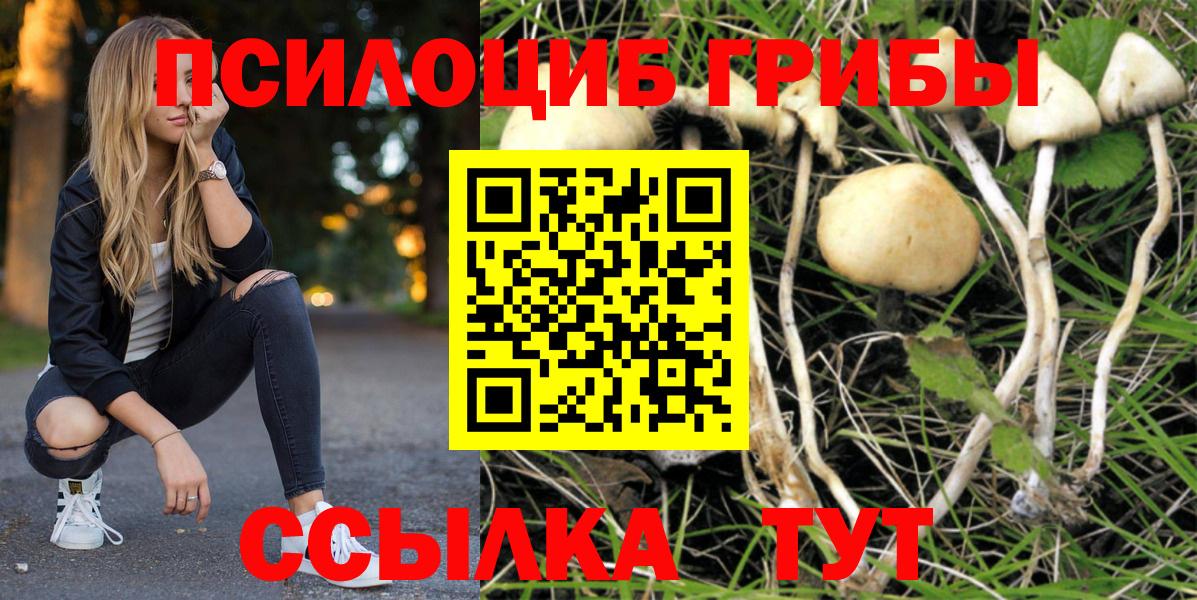 Новочеркасск  Псилоцибиновые грибы прущие грибы  Галлюциногенные грибы ЛСД  Вход с VPN 