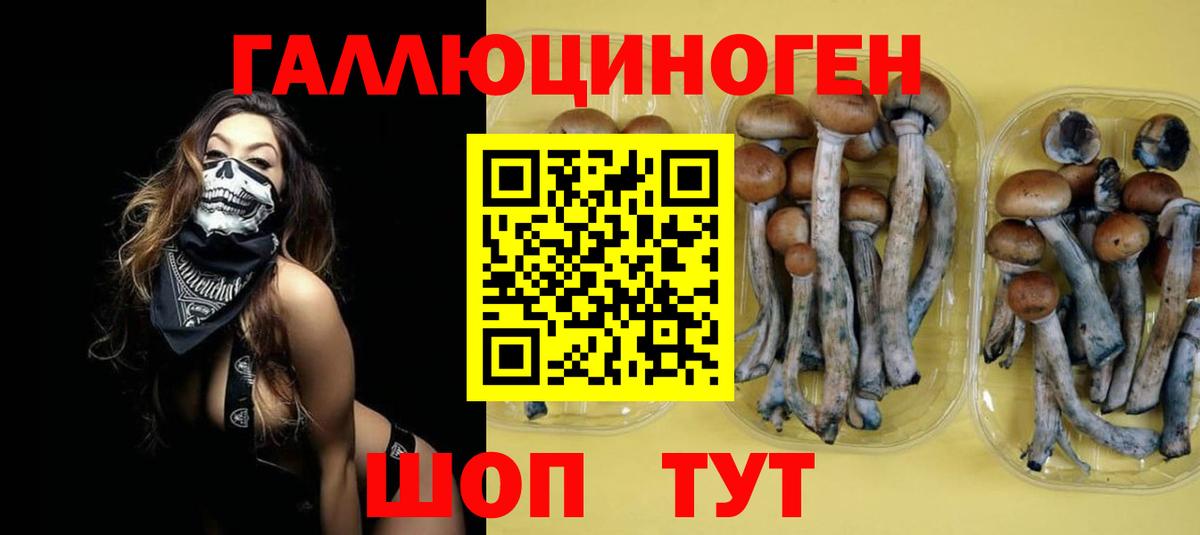 Псилоцибиновые грибы прущие грибы Новочеркасск